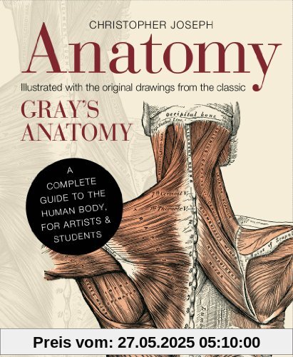 Anatomy Anatomy