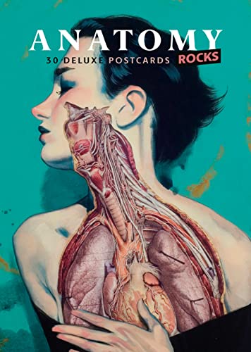 Anatomy Rocks: postcards: A portfolio: 24 plates