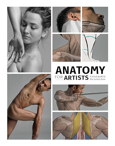 Anatomy for Artists: A visual guide to the human form