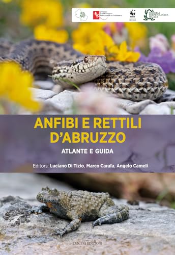 Anfibi e rettili d'Abruzzo. Atlante e guida (Naturaviglia) von Ianieri