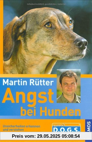 Angst bei Hunden: Unsicherheiten erkennen und verstehen Vertrauen aufbauen