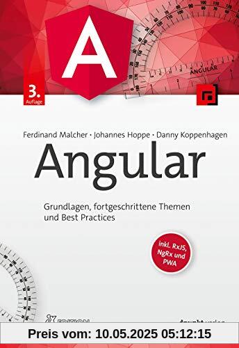 Angular: Grundlagen, fortgeschrittene Themen und Best Practices – inkl. RxJS, NgRx und PWA (iX Edition)