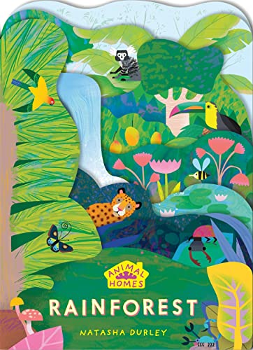 Animal Homes: Rainforest von Templar Publishing