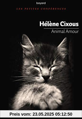 Animal amour Animal amour