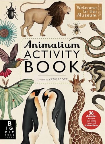 Animalium Activity Book (Welcome To The Museum) von Templar Publishing