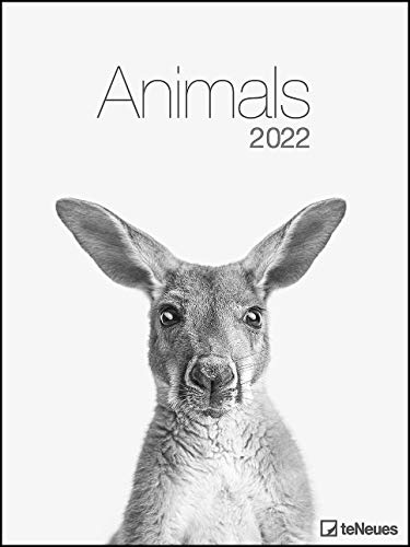 Animals 2022 - Foto-Kalender - Poster-Kalender - 48x64 - Tiere von teNeues
