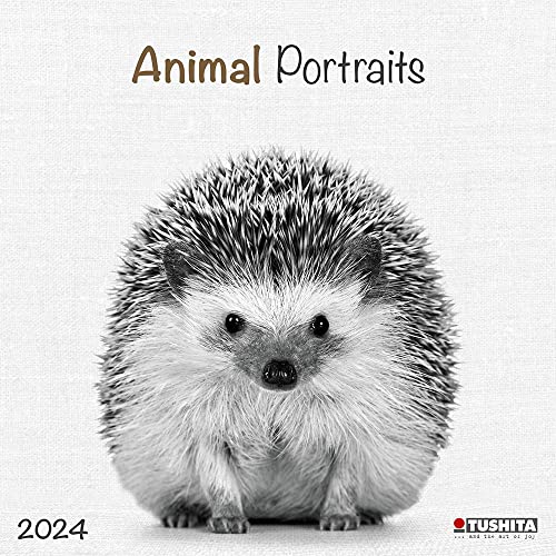 Animals 2024: Kalender 2024 (Wonderful World) von Tushita PaperArt