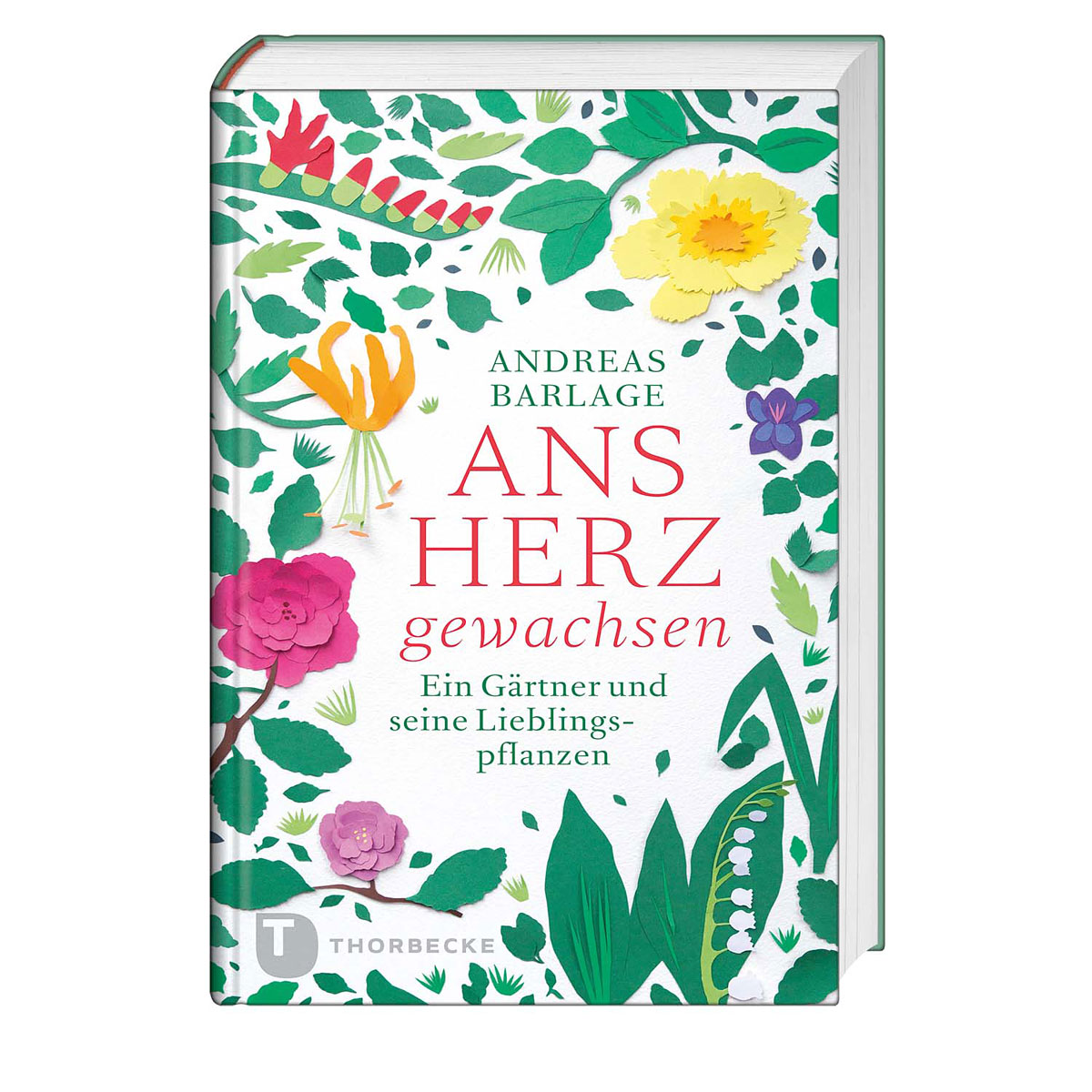 Ans Herz gewachsen von Thorbecke