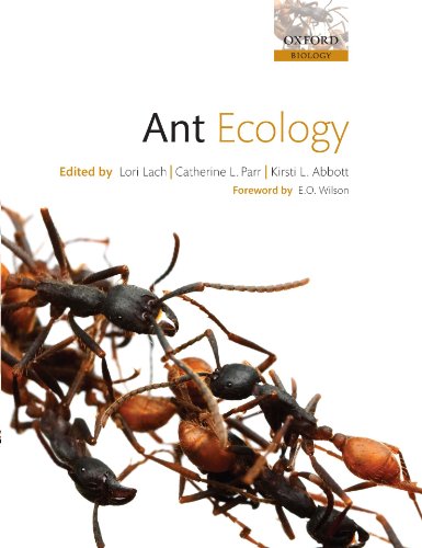 Ant Ecology Ant Ecology