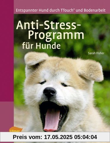 Anti-Stress-Programm für Hunde: Entspannter Hund durch T-Touch und Bodenarbeit