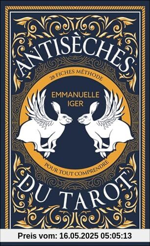 Antisèches du tarot: 28 fiches méthode pour tout comprendre