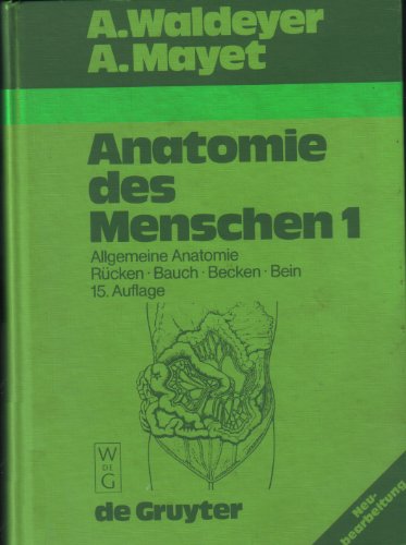 Allgemeine Anatomie, Rücken, Bauch, Becken, Bein (Anton Waldeyer; Anton Mayet: Anatomie des Menschen)