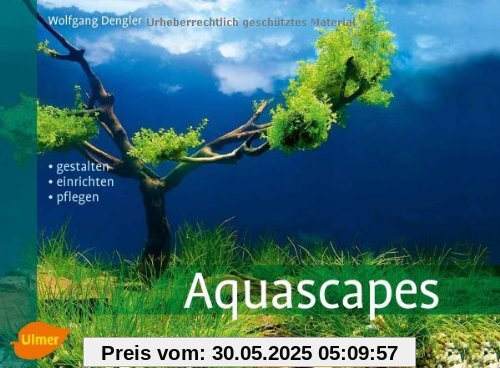 Aquascapes: Gestalten, einrichten, pflegen