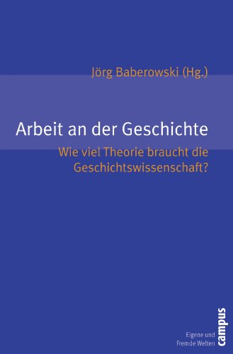 Arbeit an der Geschichte: Wie viel Theorie braucht die Geschichtswissenschaft? (Eigene und Fremde Welten, 18)