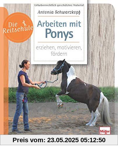 Arbeiten mit Ponys: erziehen, motivieren, fördern (Die Reitschule)