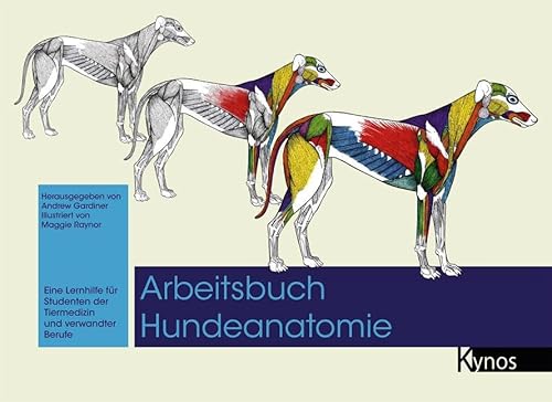 Arbeitsbuch Hundeanatomie: Eine Lernhilfe für Studenten der Tiermedizin und verwandte Berufe: Eine Lernhilfe für Studenten der Tiermedizin und verwandter Berufe Arbeitsbuch Hundeanatomie: Eine Lernhilfe für Studenten der Tiermedizin und verwandte Berufe: Eine Lernhilfe für Studenten der Tiermedizin und verwandter Berufe