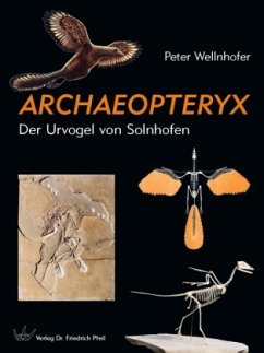 Archaeopteryx von Pfeil