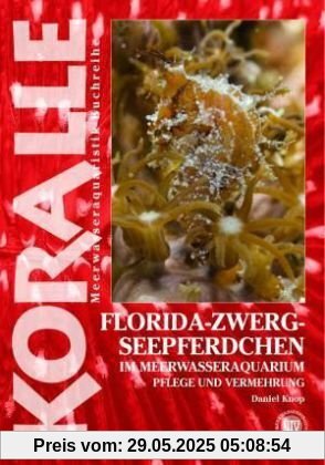 Art für Art 14. Florida-Zwergseepferdchen: Im Meerwasseraquarium