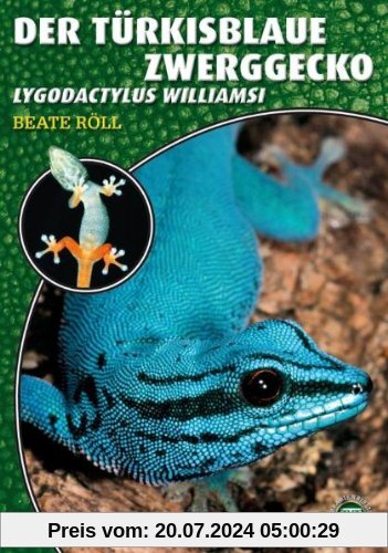 Art für Art: Der Türkisblaue Zwerggecko: Lygodactylus williamsi