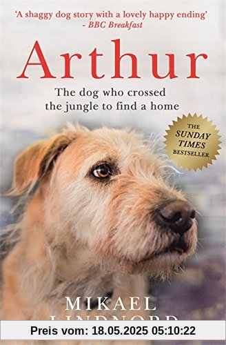 Arthur: The dog who crossed the jungle to find a home