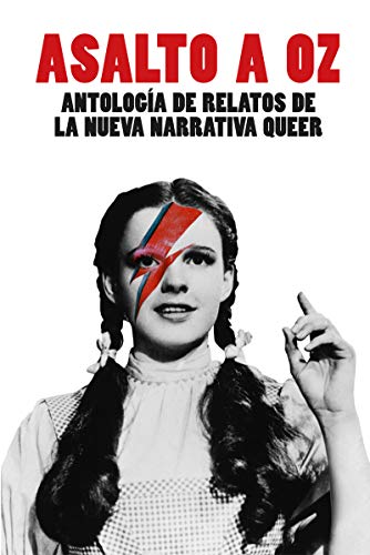 Asalto a Oz: Antología de relatos de la nueva narrativa queer von Editorial Dos Bigotes