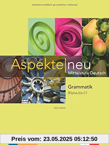 Aspekte neu: Grammatik B1plus bis C1