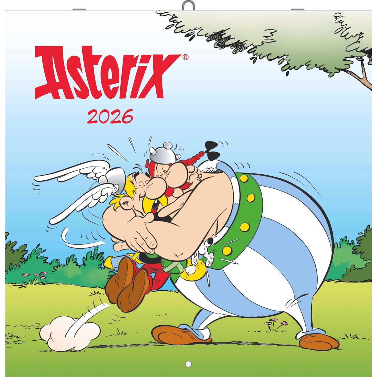 Asterix 2026 - Wand-Kalender - Broschüren-Kalender - 30x30 - 30x60 geöffnet - Ca... Asterix 2026 - Wand-Kalender - Broschüren-Kalender - 30x30 - 30x60 geöffnet - Ca... von Neumann Verlage GmbH & Co