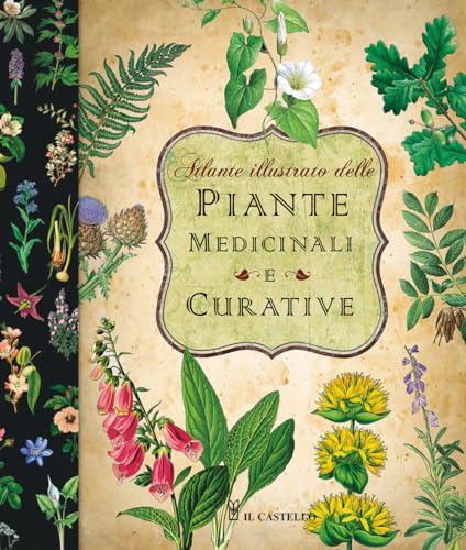 Atlante illustrato delle piante medicinali e curative (Giardinaggio) von Il Castello