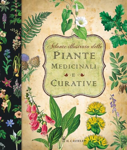 Atlante illustrato delle piante medicinali e curative (Giardinaggio)