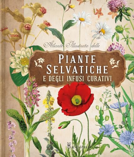 Atlante illustrato delle piante selvatiche e degli infusi curativi (Giardinaggio) von Il Castello
