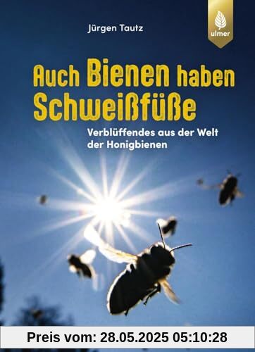 Auch Bienen haben Schweißfüße: Verblüffendes aus der Welt der Honigbienen