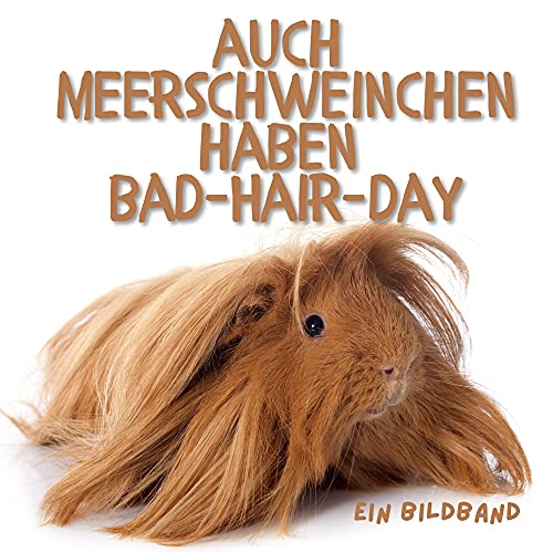 Auch Meerschweinchen haben Bad-Hair-Day: Ein Bildband von 27 Amigos