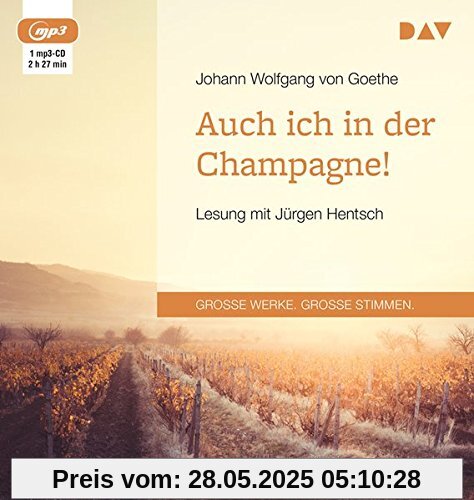 Auch ich in der Champagne!: Lesung mit Jürgen Hentsch (1 mp3-CD)