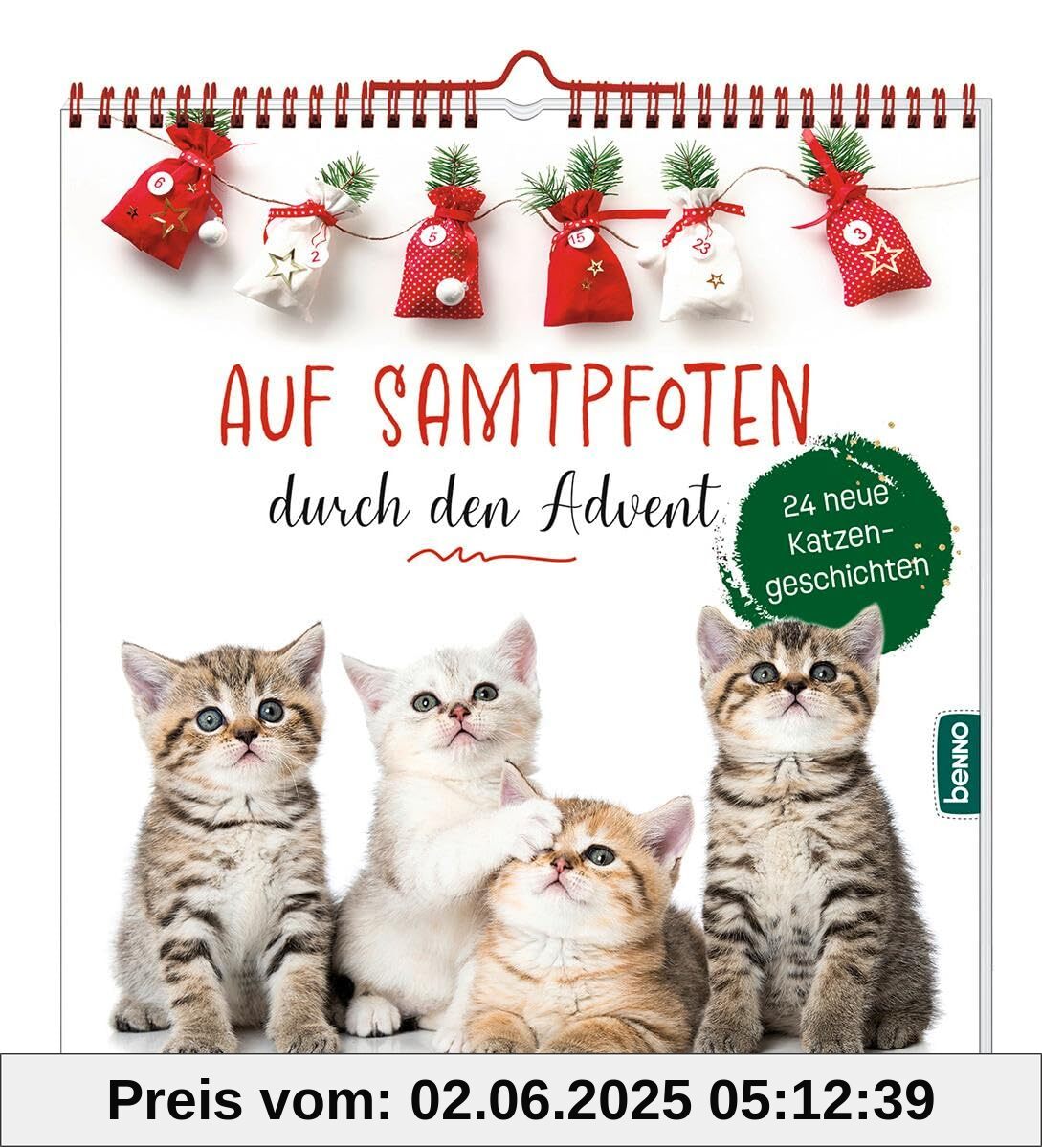 Auf Samtpfoten durch den Advent: 24 neue Katzengeschichten