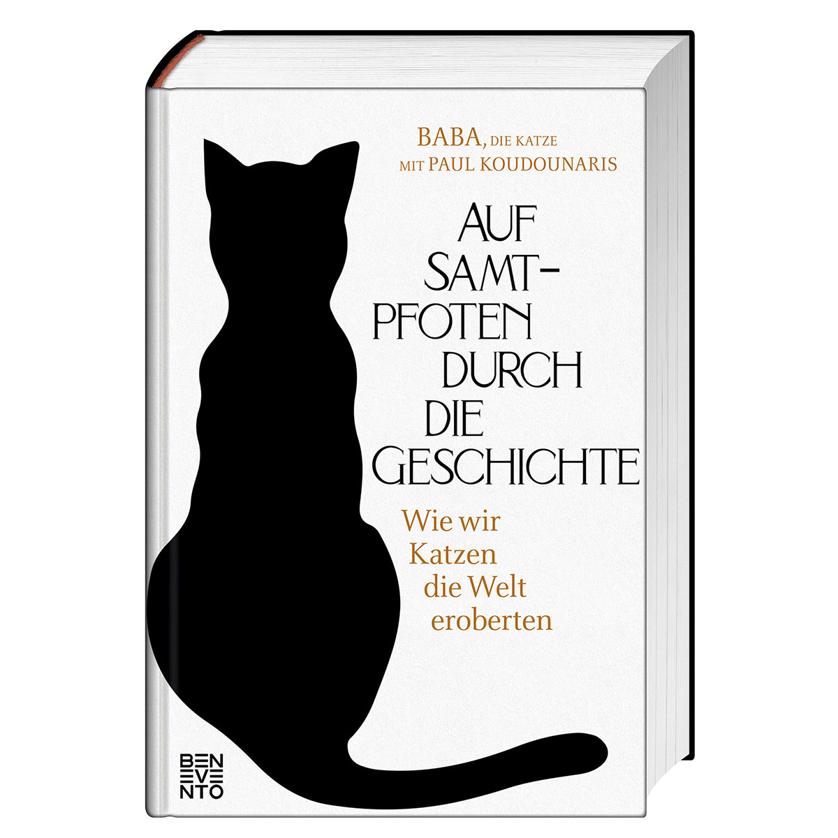 Auf Samtpfoten durch die Geschichte von Benevento