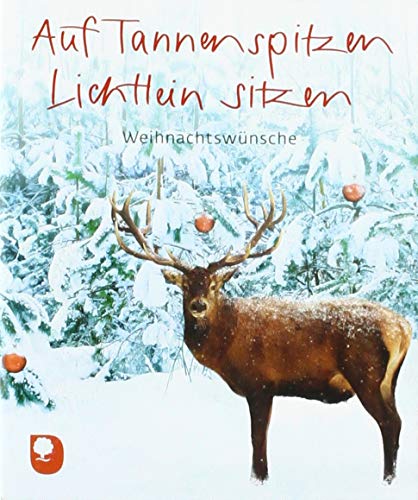 Auf Tannenspitzen Lichtlein sitzen: Weihnachtswünsche (Eschbacher Mini) von Verlag am Eschbach