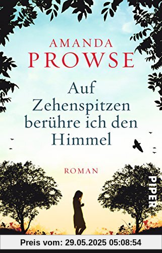 Auf Zehenspitzen berühre ich den Himmel: Roman
