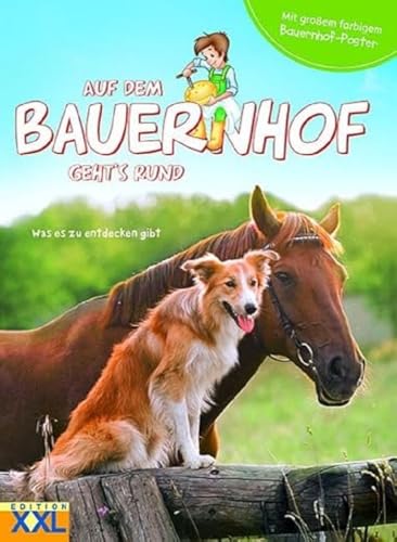 Auf dem Bauernhof geht´s rund - mit großem farbigem Bauernhof-Poster: Was es zu entdecken gibt