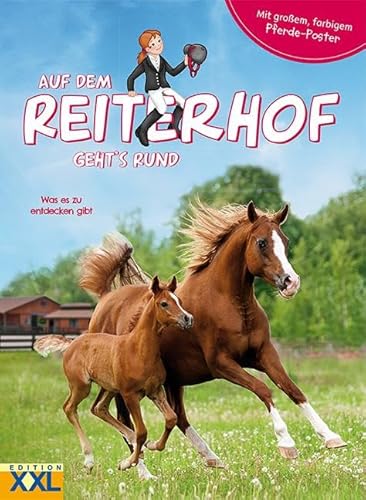 Auf dem Reiterhof geht´s rund - mit großem, farbigem Pferde-Poster: Was es zu entdecken gibt Auf dem Reiterhof geht´s rund - mit großem, farbigem Pferde-Poster: Was es zu entdecken gibt