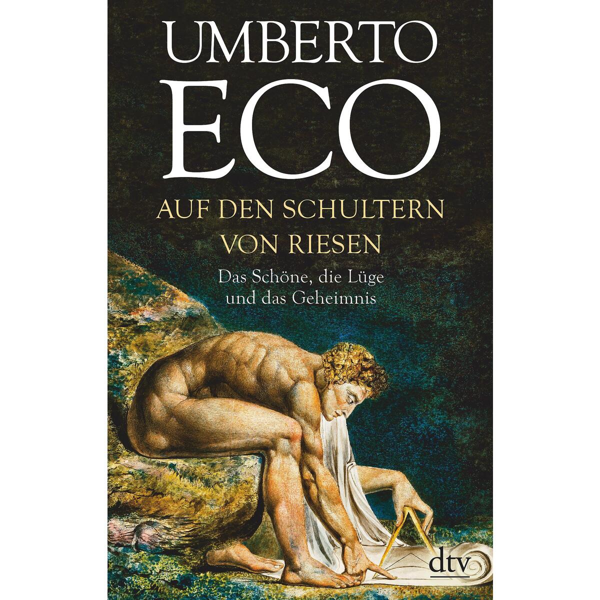 Auf den Schultern von Riesen von dtv Verlagsgesellschaft