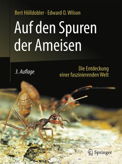 Auf den Spuren der Ameisen von Harvard University Press / Springer Berlin Heidelberg / Springer Spektrum / Springer, Berlin