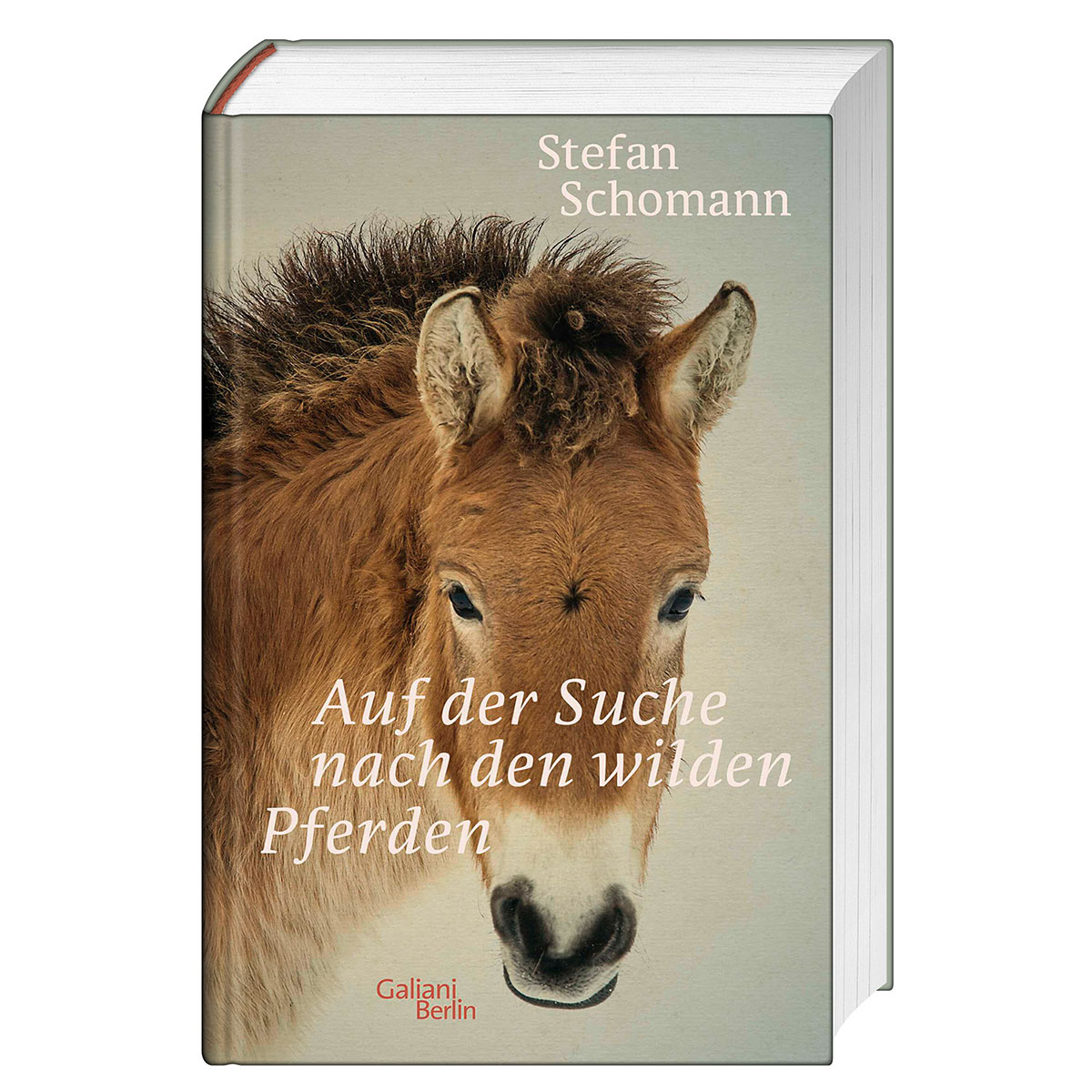 Auf der Suche nach den wilden Pferden von Galiani, Verlag