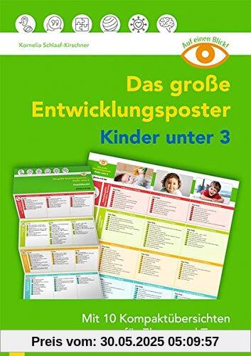 Auf einen Blick: Das große Entwicklungsposter – Kinder unter 3: Mit 10 Kompaktübersichten für Eltern und Team