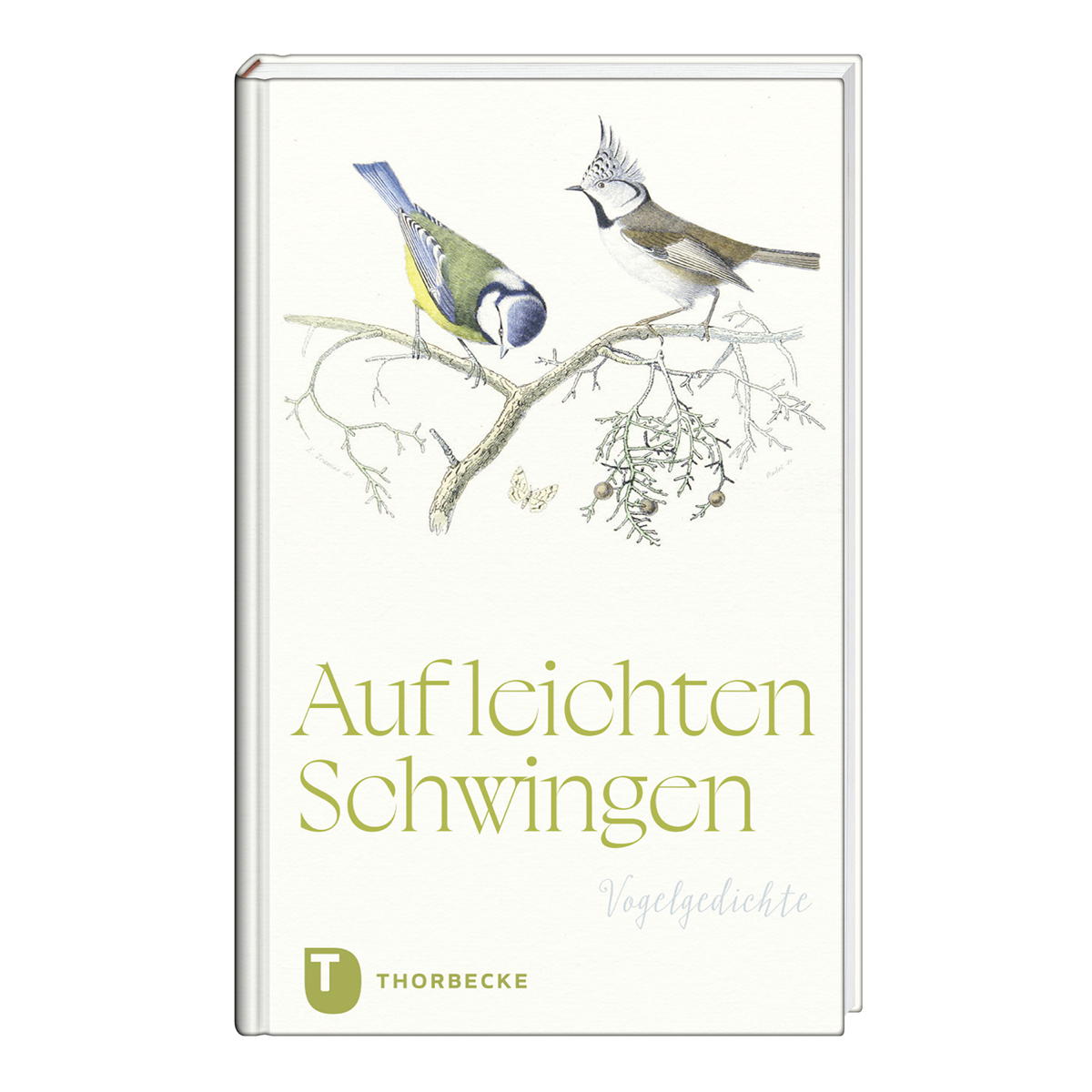 Auf leichten Schwingen von Thorbecke Jan Verlag