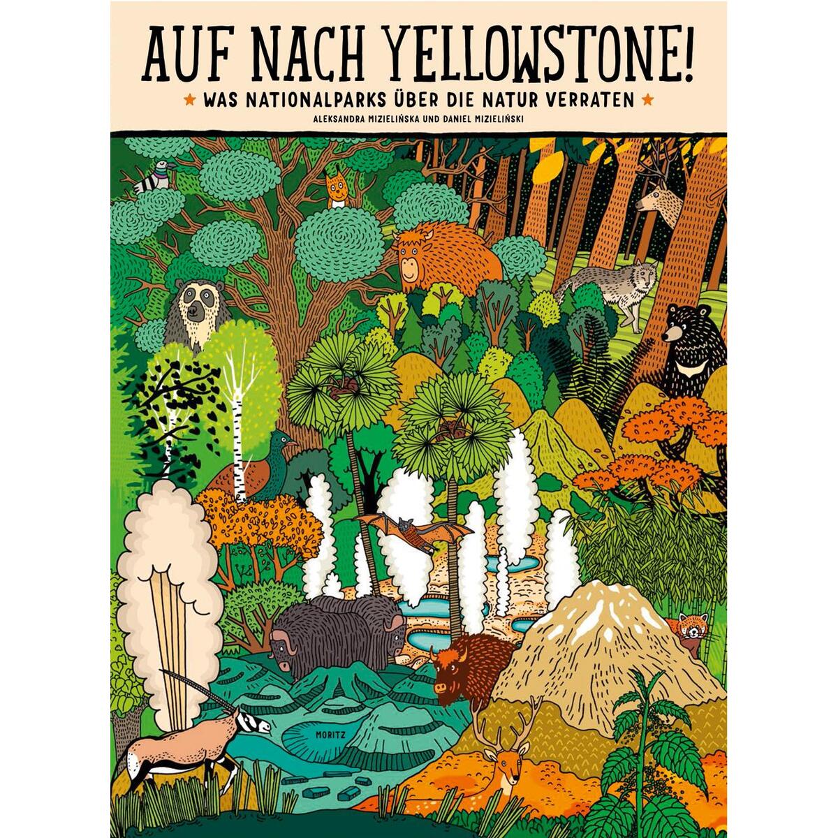 Auf nach Yellowstone! von Moritz Verlag-GmbH