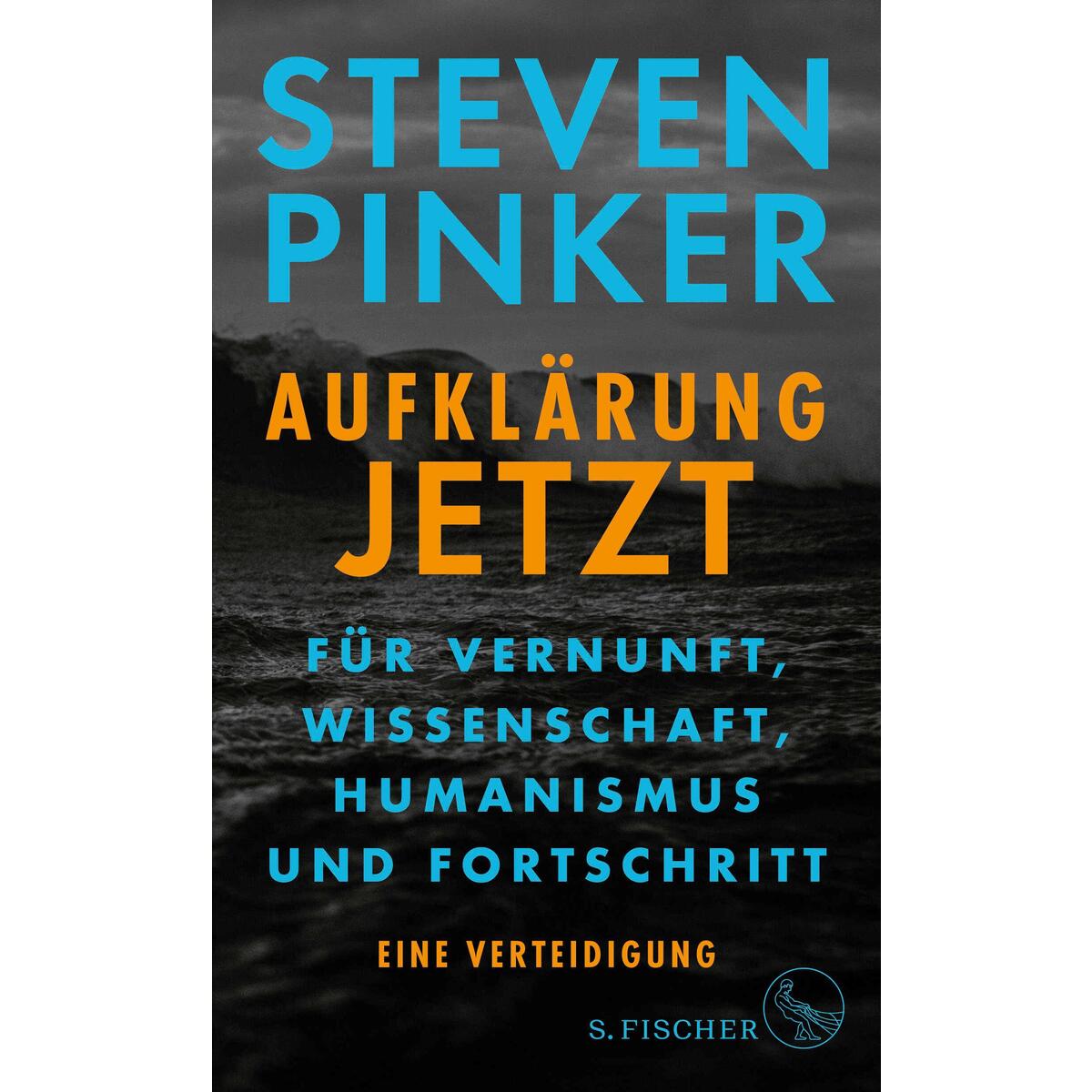 Aufklärung jetzt Aufklärung jetzt von FISCHER, S.