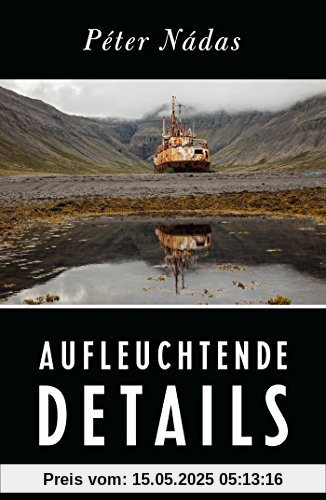 Aufleuchtende Details: Memoiren eines Erzählers