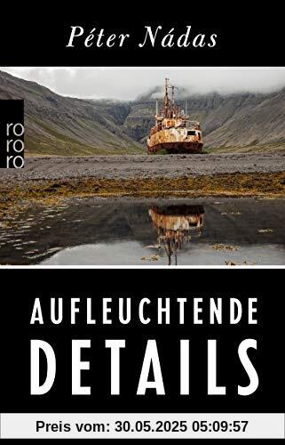 Aufleuchtende Details: Memoiren eines Erzählers Aufleuchtende Details: Memoiren eines Erzählers