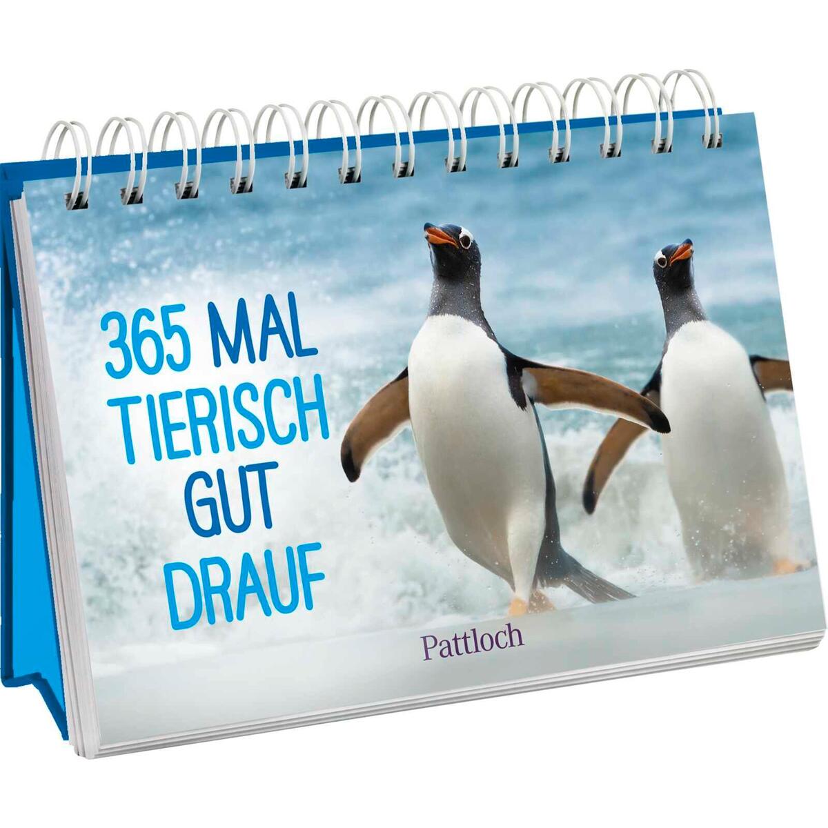 Aufstellkalender »365 mal tierisch gut drauf!« Aufstellkalender »365 mal tierisch gut drauf!« von Pattloch Geschenkbuch