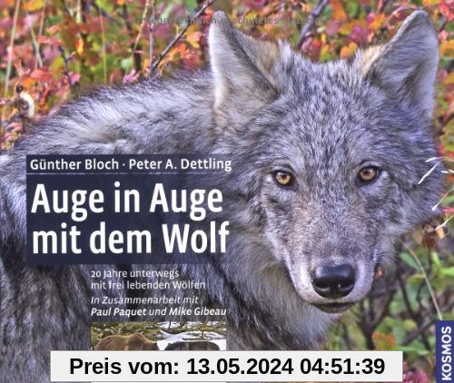 Auge in Auge mit dem Wolf: 20 Jahre unterwegs mit frei lebenden Wölfen